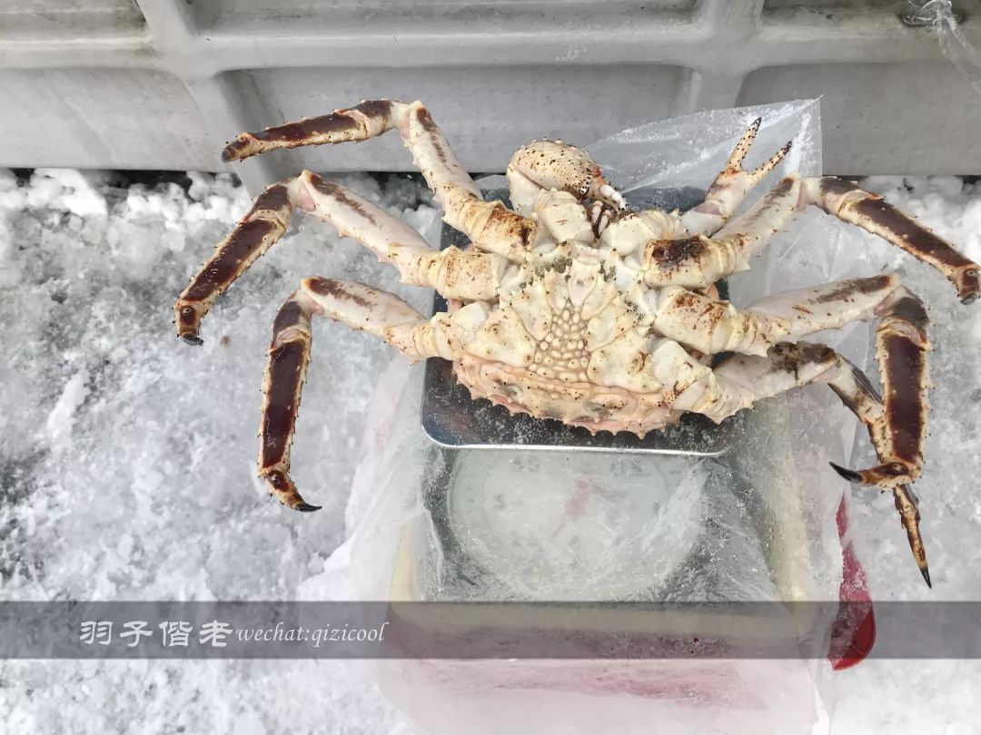 老实说，这一趟北海道就是为了拍好看的照片去的