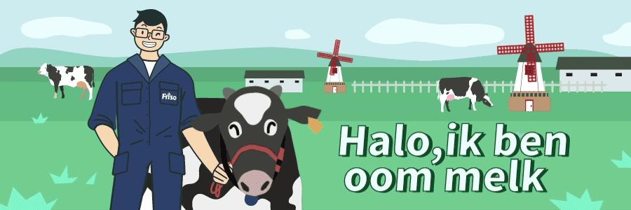 荷兰旅游结婚地,荷兰旅游怎么结婚