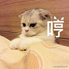 mpg转换mp4后怎么缩小,mp4转换mpg格式后清晰度下降