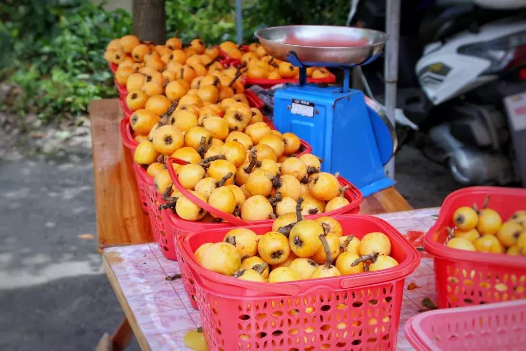 惊险刺激的飞拉达,刺激的飞拉达