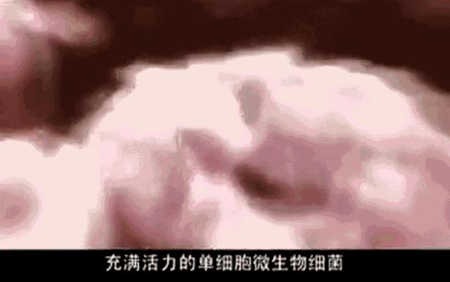 最好用的牙膏排行榜前十名,选哪个牌子的牙膏最安全好用