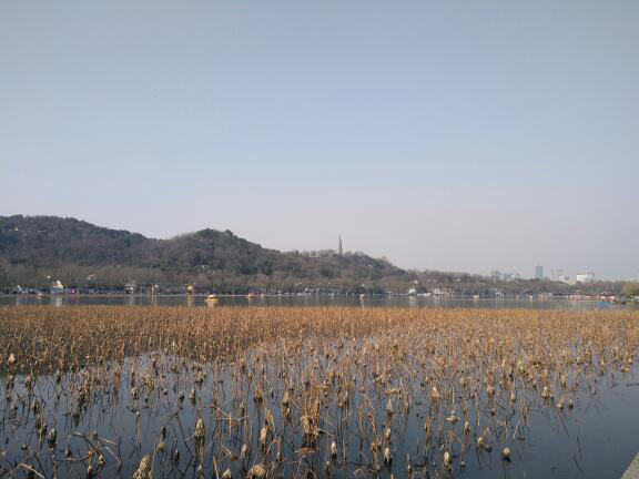 帮主去杭州,帮主离开的第一天