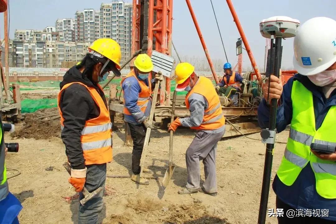 滨海新区示范小学,滨海新区小学排名一览表