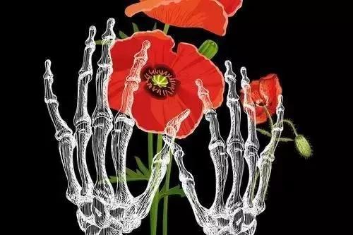 一个医生，一个护士，白天救人，晚上“自杀”