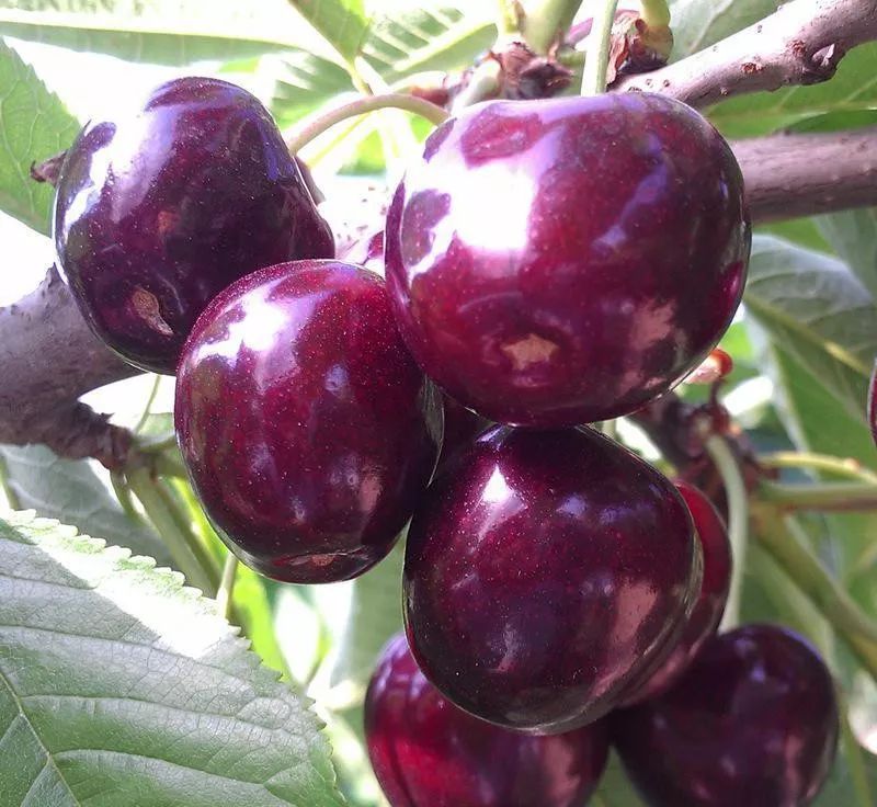 瓦房店真是个好地方,爱上大连这座城