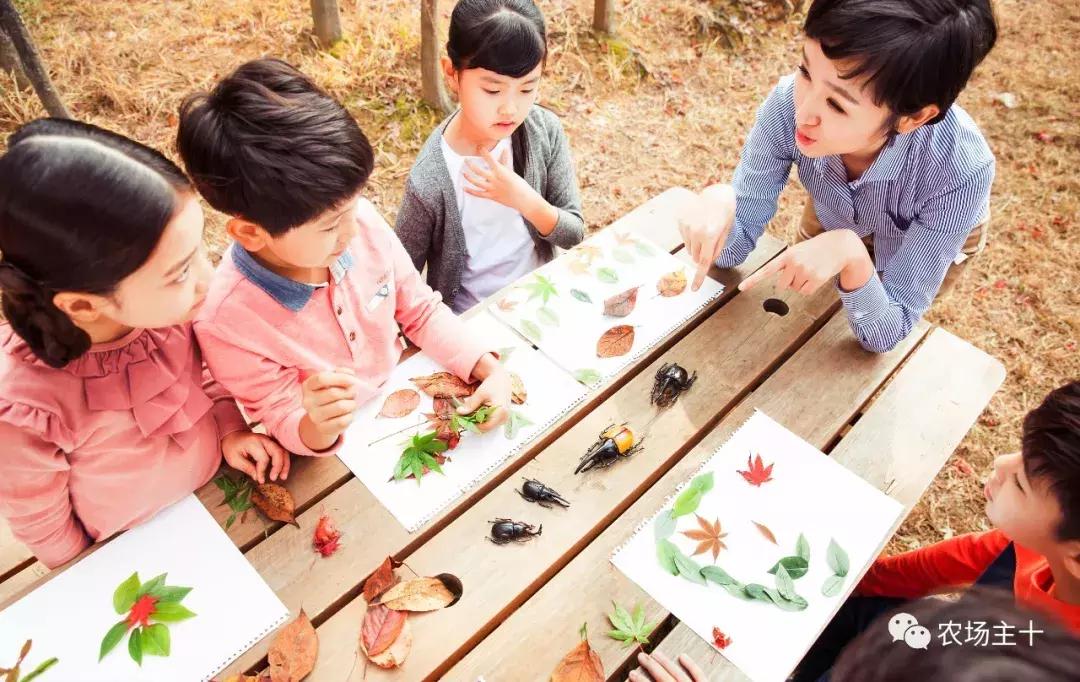 从零开始打造一个优质亲子农庄,从亏损近2亿到盈利35亿的逆袭