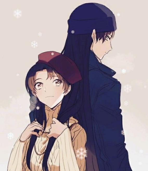 柯南和怪盗基德亲密度,柯南角色能力等级