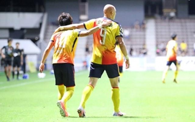 北九州向日葵为什么这么厉害,北九州向日葵最新预测