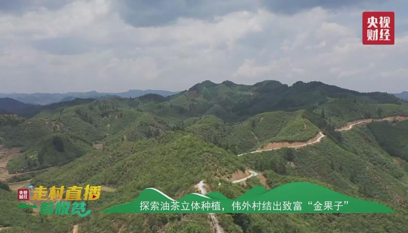 贵州黔西南册亨县直播,黔西南州册亨电视台在线直播