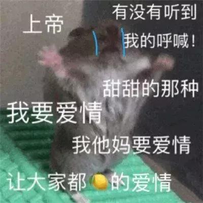 萧亚轩是一个怎样的人呢,萧亚轩有多潇洒