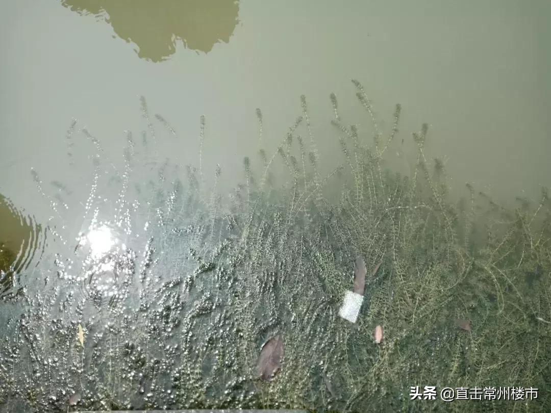 惊了!一街之隔,常州3家小区门禁天差地别