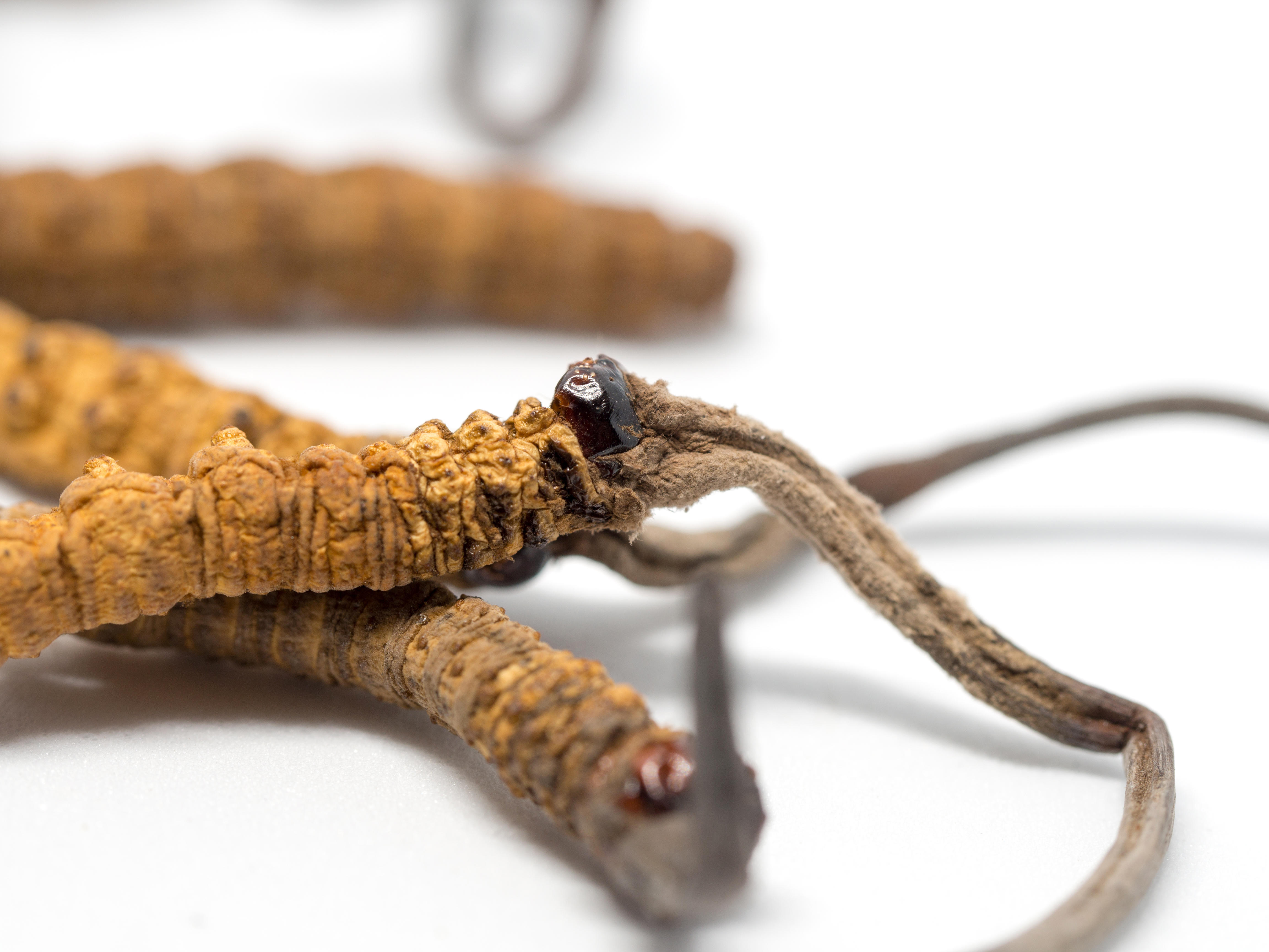 让你防不胜防的养生保健骗局,十大夸大功效保健品