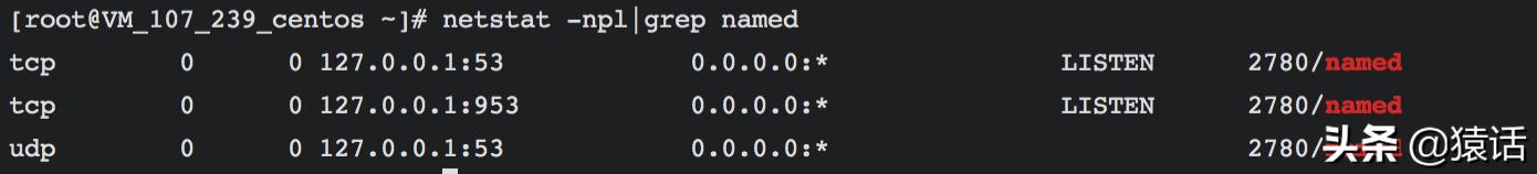 linuxdns服务器搭建,系统搭建思路