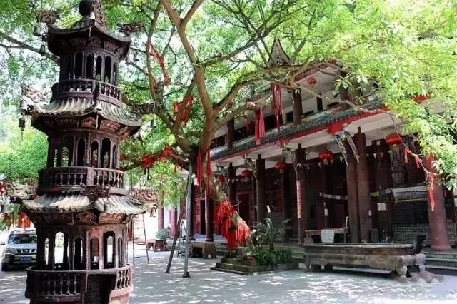 成都适合20人一日吃玩地方推荐,成都周边必打卡人间仙境毕棚沟