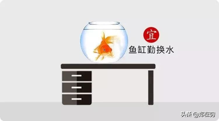 鱼缸摆放位置风水吉位图片,鱼缸怎么摆放布局风水好