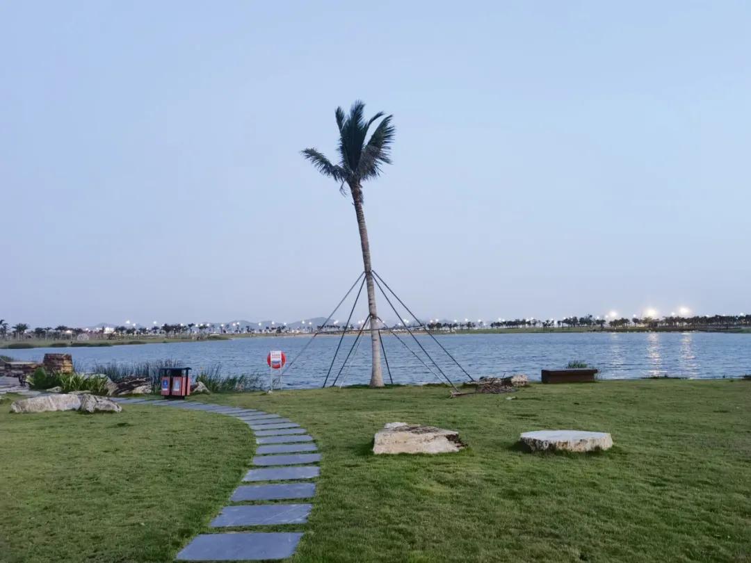 珠海海水现在还干净吗,珠海海水脏