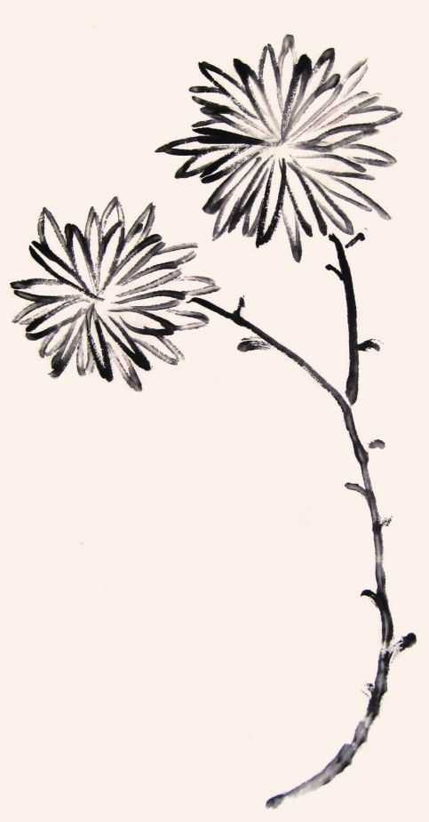 国画知识：不会画菊花？教你5种菊花画法，简单易学，快来临摹吧