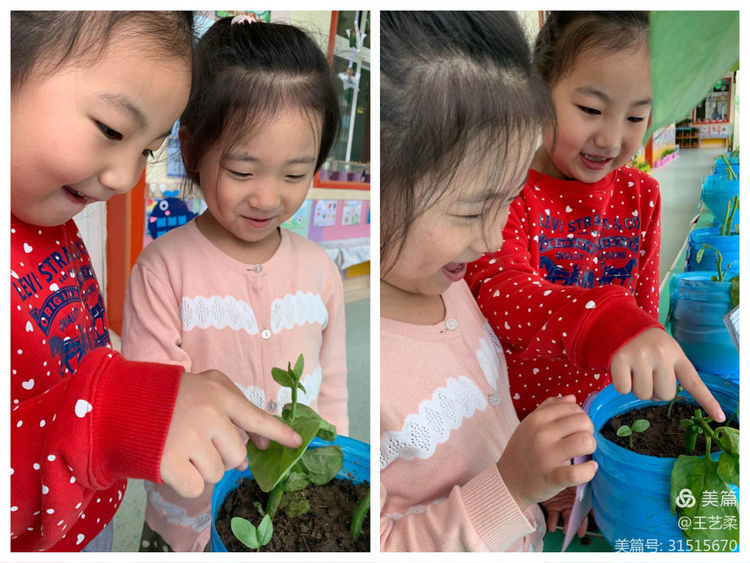 小角落大自然介绍,幼儿园大自然的奥秘主题墙创设