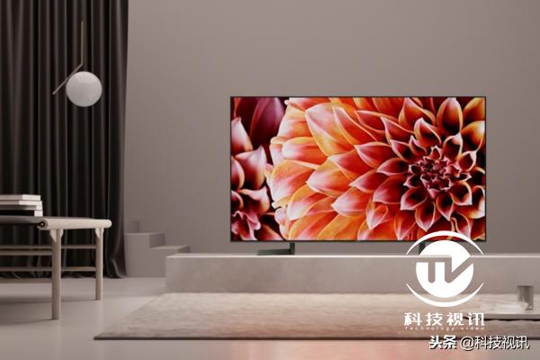 上港第一冠,上港队史出场纪录