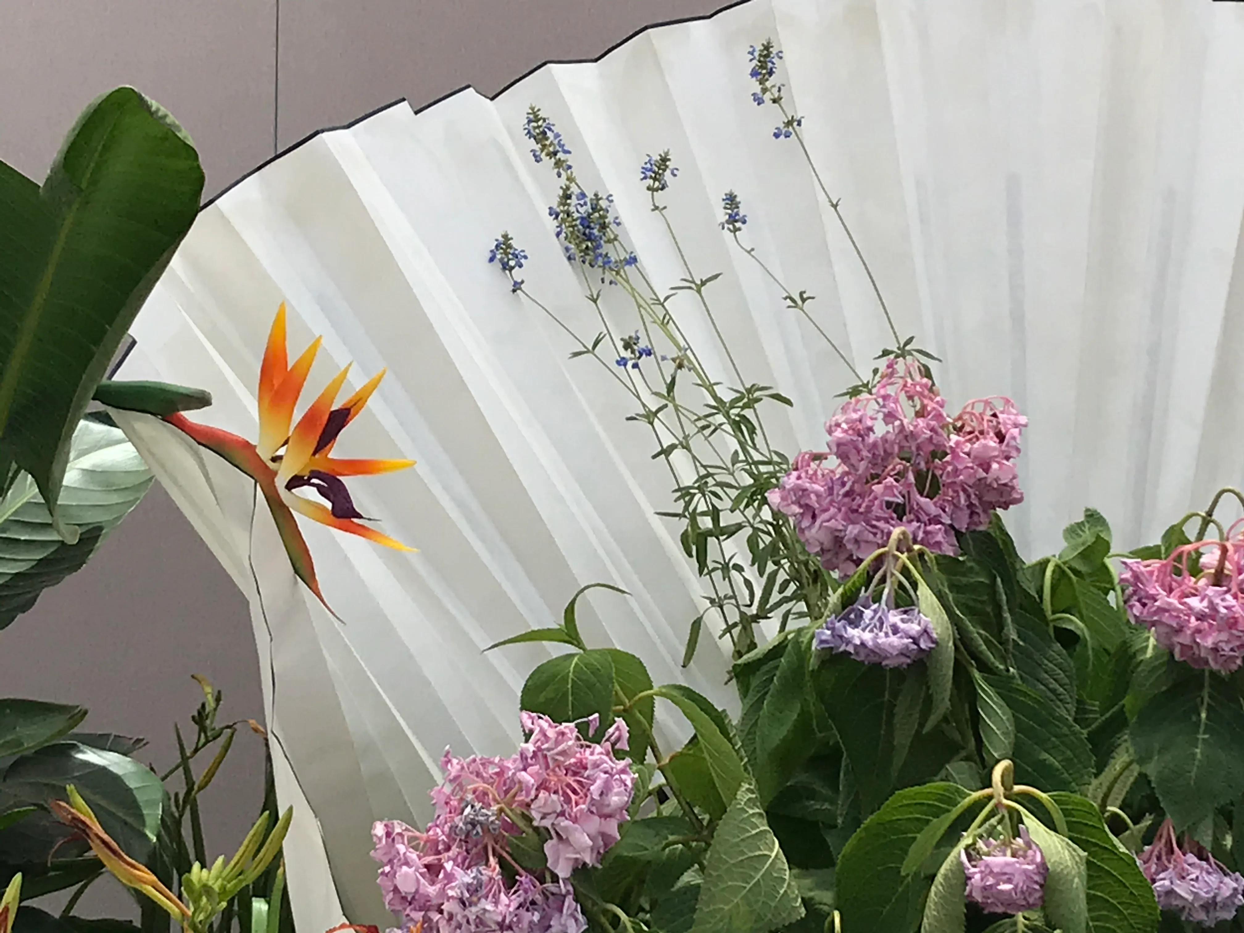 2021扬州世园会园艺微景观创作国际竞赛-世园会国际馆