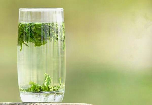 六安瓜片是什么茶有什么功效,六安瓜片400多一斤属于什么茶