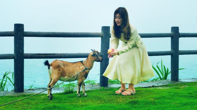 福鼎旅游数据,福鼎纪录片