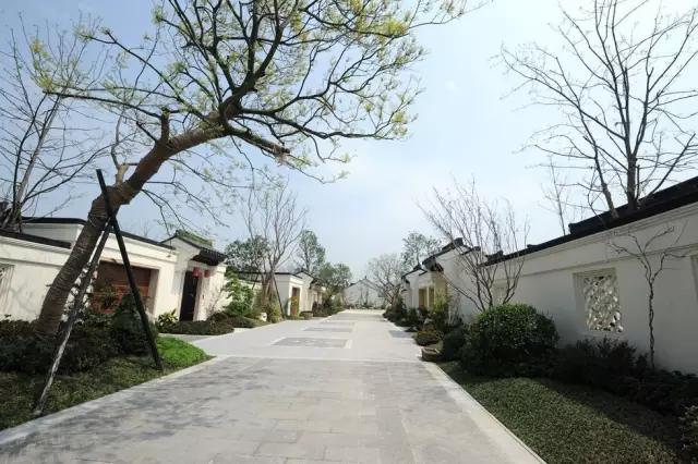 乌镇养老雅园,乌镇雅园养老社区