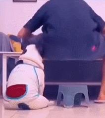 人狗大战电影免费观看,第一次人机大战视频