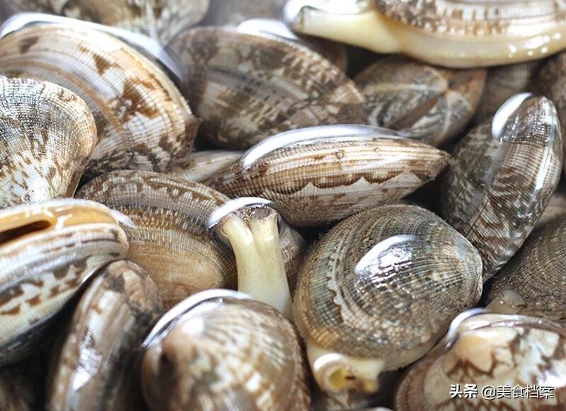 80岁老渔民教你挑选新鲜花蛤的方法和技巧，辨别花蛤死活有诀窍！