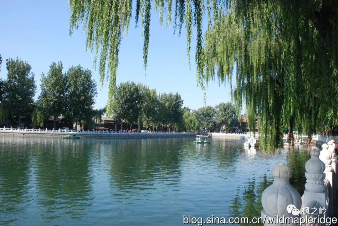 北京纪事娘娘庙,北京纪事