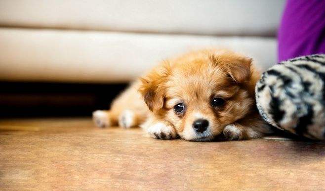 爱上*气娃充**娃和谈一场恋爱有何不同？也许只差一个温暖的拥抱