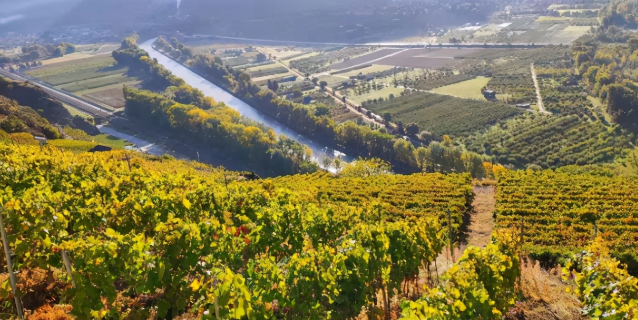 久居瑞士的华人小伙奉劝，来前想清楚这里不一定适合所有人