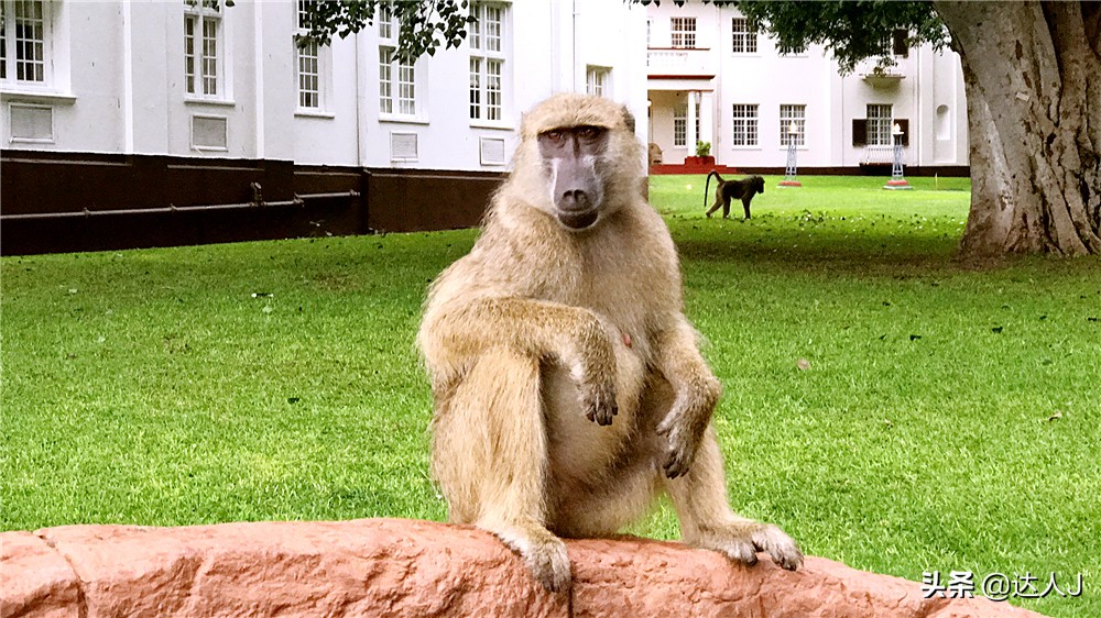 #全民热遗#小天独家，你敢不敢在这个瀑布上洗澡？