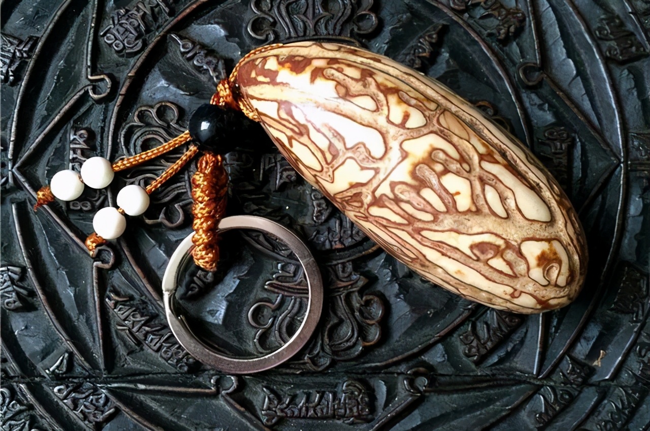 得了懒癌怎么办,犯了懒癌怎么办