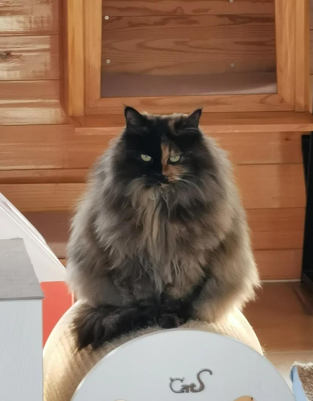 拼头条吗？好姐妹就要一起上啊