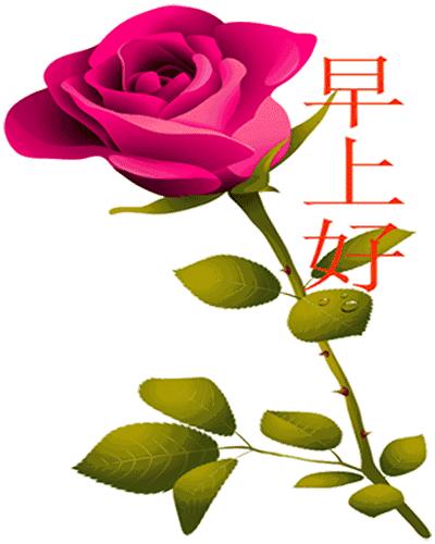 早安励志表情图片大全,早安表情图片大全高清