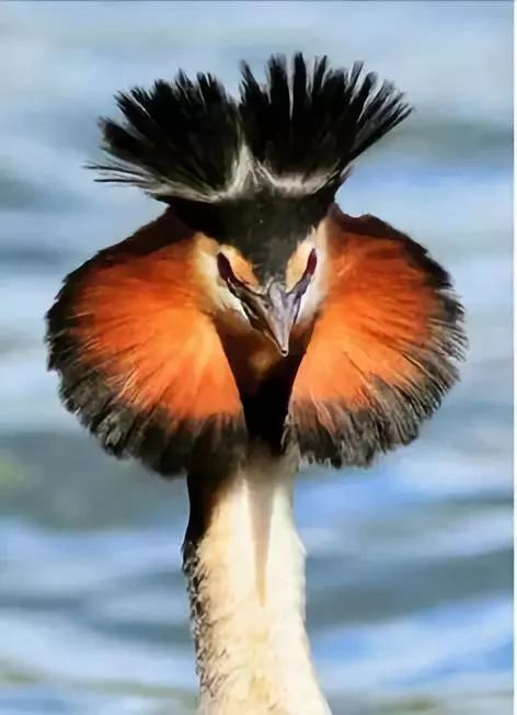 社会犹如一条船,社会就像一个丛林