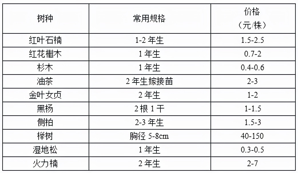 2022年秋季全国各地苗木市场行情,2021年春季苗木行情分析报告