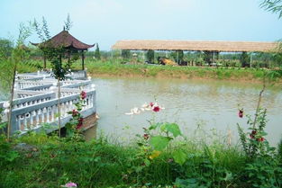 砀山县城市发展,梨都砀山万亩瓜果之乡