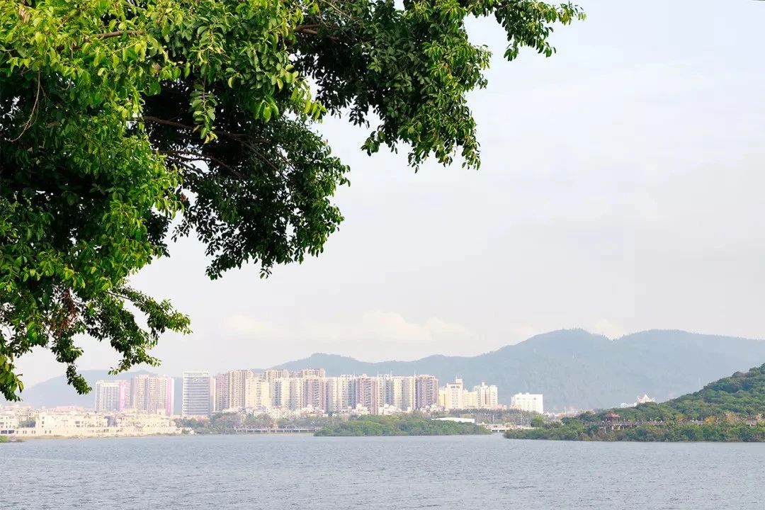 深圳十个小众打卡地,在深圳这些地方既小众又值得打卡