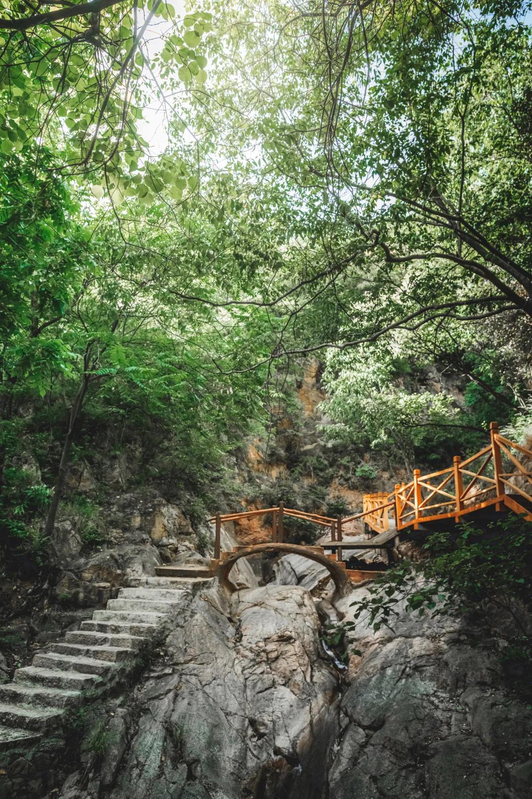绿野仙踪旅游景区夜晚,画眉谷旅游景区