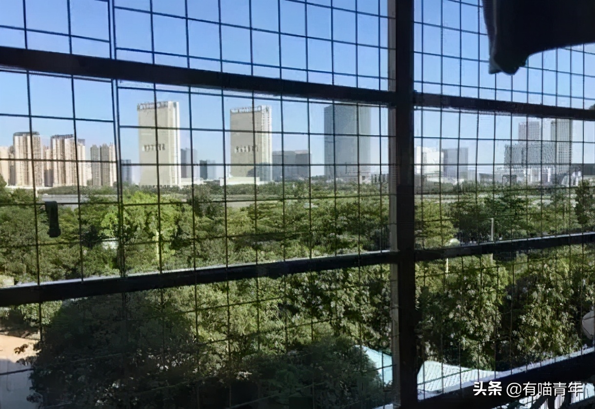 对着猫吹气会怎么样,对着猫吹烟有害吗