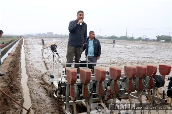 【八桂闹春耕，喜迎开门红】防城港