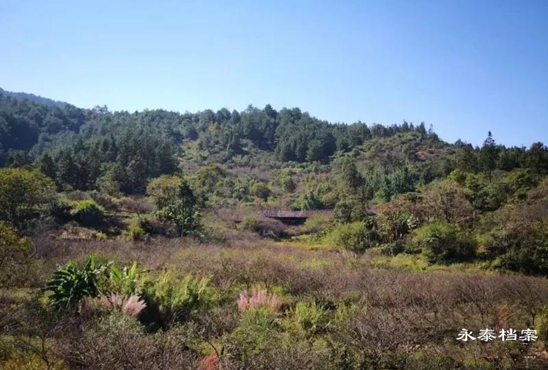 永泰繁华的地方,湖南永泰老城视频