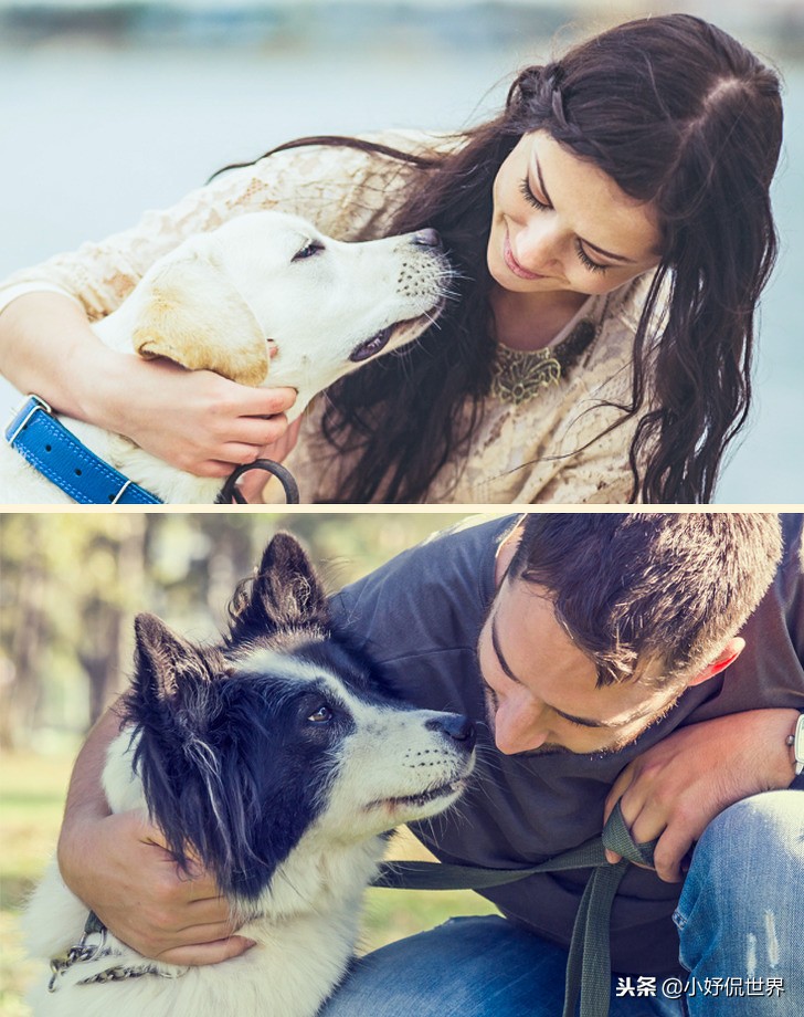 能闻到狗狗的体香,狗狗有哪些东西不能闻