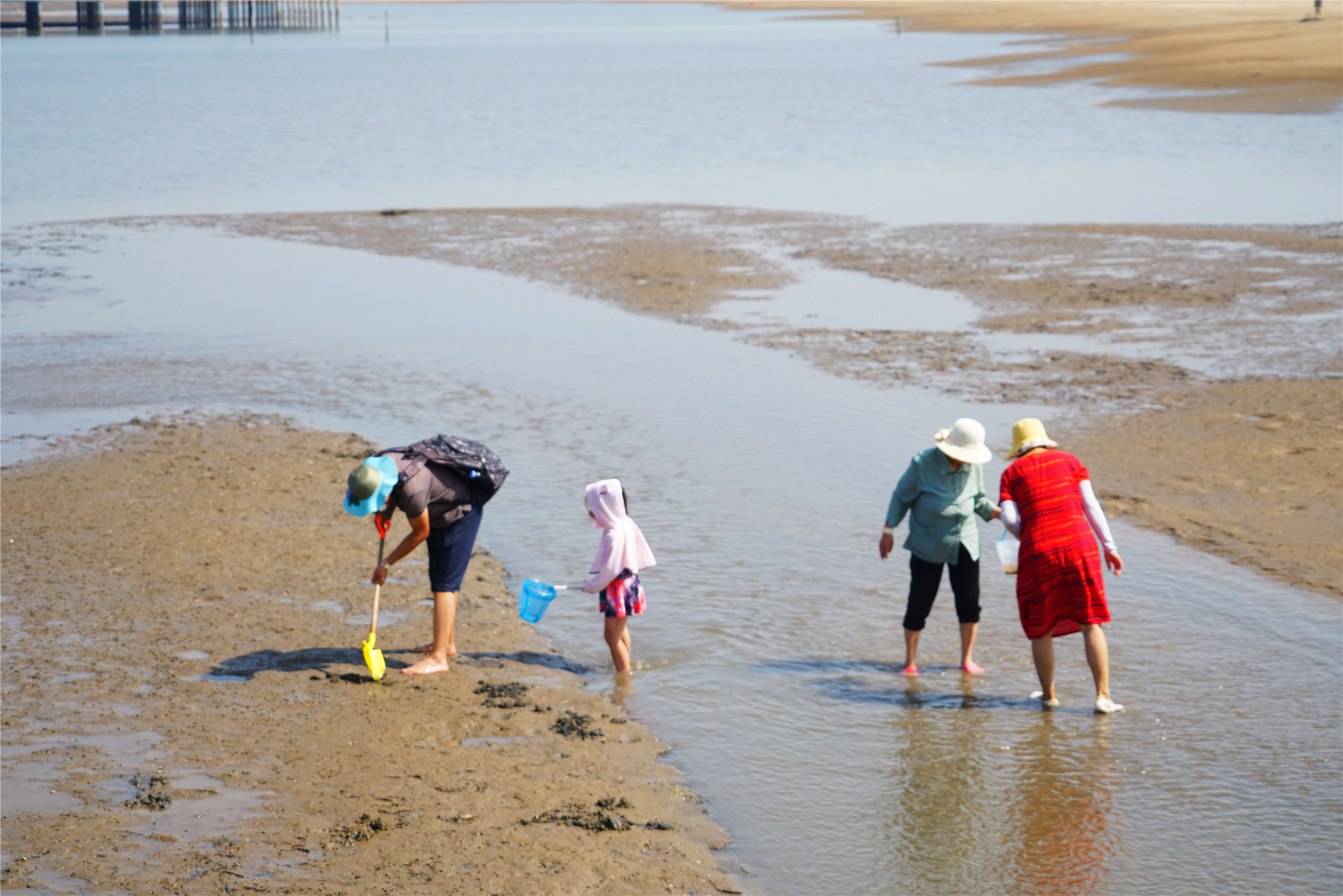 小众海岛旅行，一站打卡唐山最美的两座岛