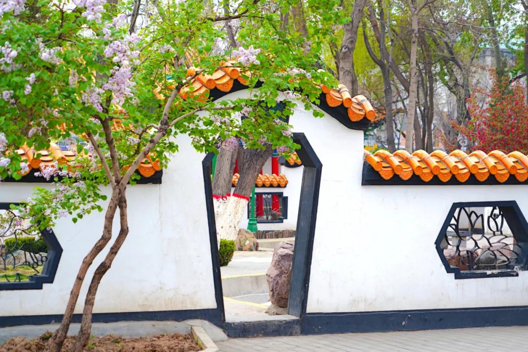 宁夏银川街心公园,银川兴庆区宁园门票多少