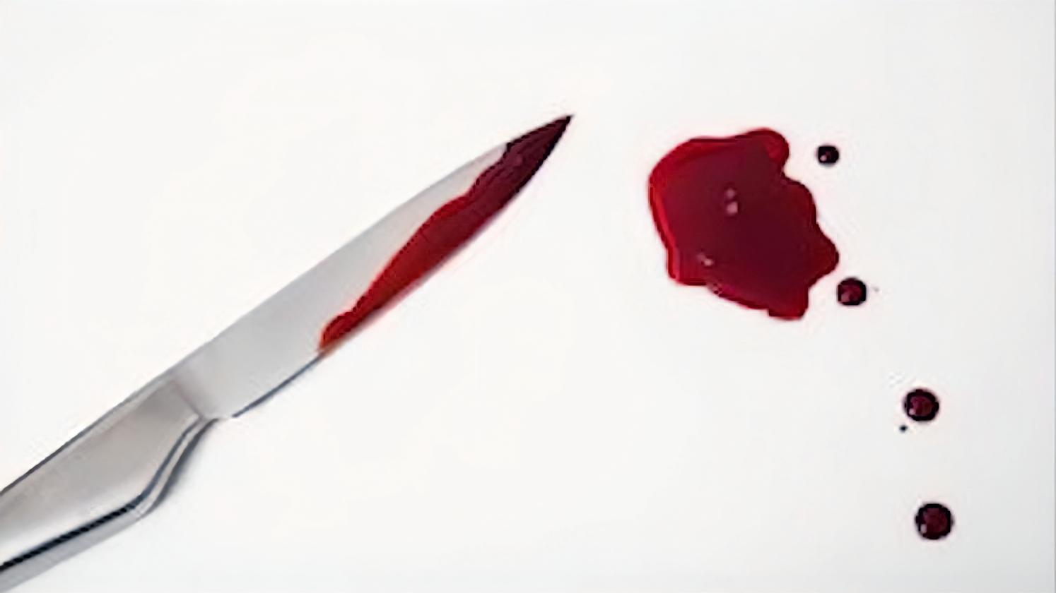 日本17岁少女被杀案,日本14岁少年杀害多名女孩