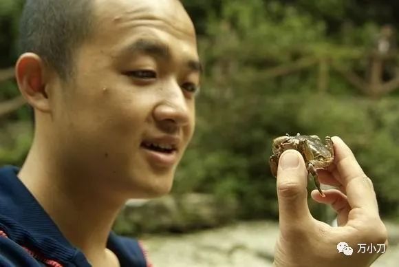 包贝尔催泪往事,包贝尔情史完整版