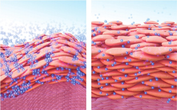 面膜谁用谁好看,面膜最佳cp